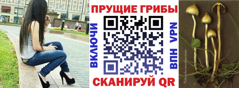 ссылка на мегу   что такое наркотик  Новошахтинск  Галлюциногенные грибы мухоморы 