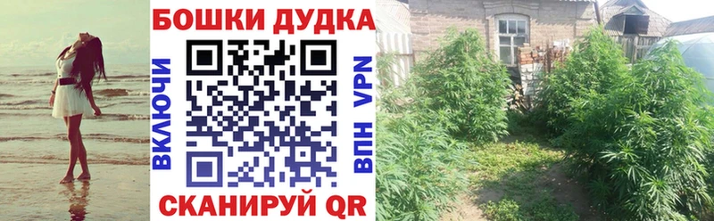 Канабис план Новошахтинск